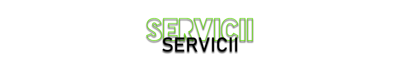 SERVICII
